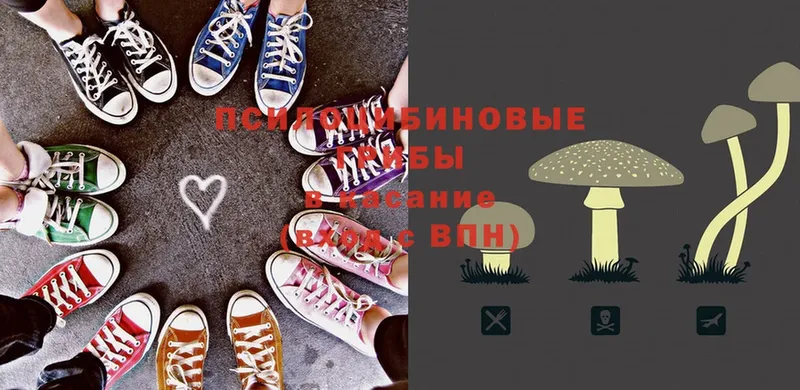 Галлюциногенные грибы мицелий  Шарыпово 